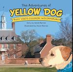 Adventures of Yellow Dog