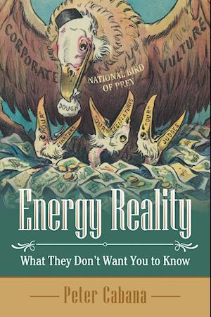 Energy Reality