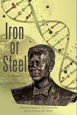 Iron or Steel