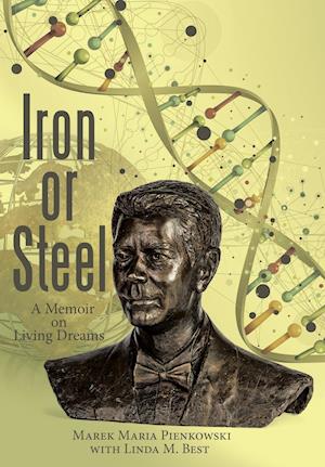 Iron or Steel