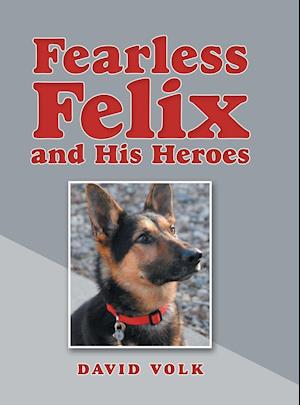 Fearless Felix and His Heroes