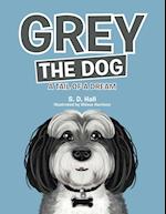 Grey the Dog