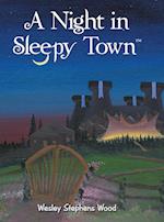 A Night in Sleepy Town 