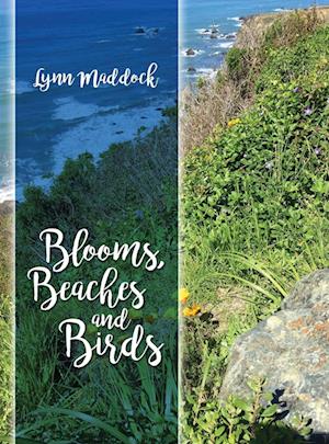 Blooms, Beaches and Birds