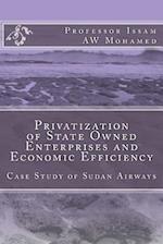 Privatization of State Owned Enterprises and Economic Efficiency