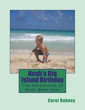 Noah's Big Island Birthday