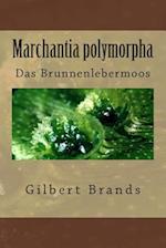 Marchantia Polymorpha