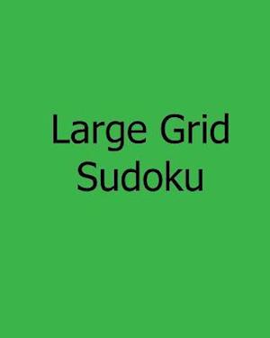 Large Grid Sudoku