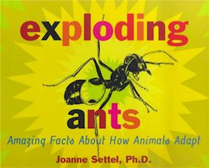 Exploding Ants