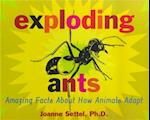 Exploding Ants