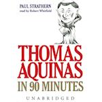 Thomas Aquinas in 90 Minutes