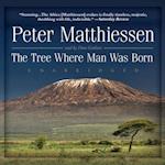 Tree Where Man Was Born