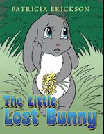 Little Lost Bunny
