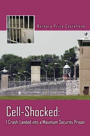 Cell-Shocked: I Crash-Landed into a Maximum Security Prison