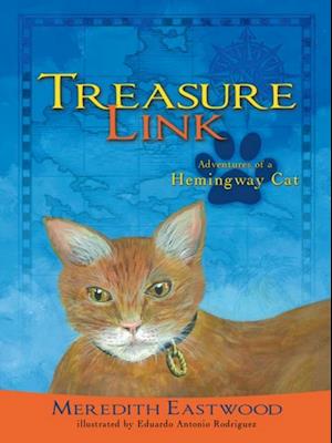 Treasure Link