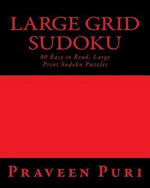 Large Grid Sudoku