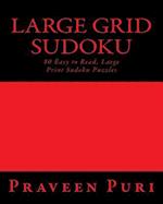 Large Grid Sudoku