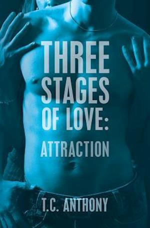 Three Stages of Love