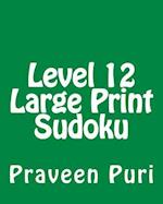 Level 12 Large Print Sudoku