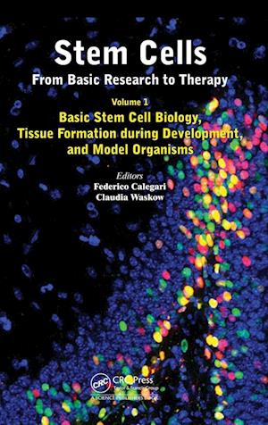 Stem Cells: From Basic Research to Therapy, Volume 1