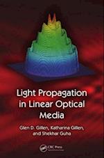 Light Propagation in Linear Optical Media