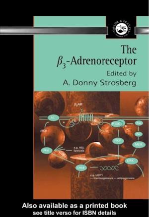 3 Adrenoreceptor