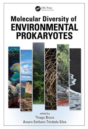 Molecular Diversity of Environmental Prokaryotes