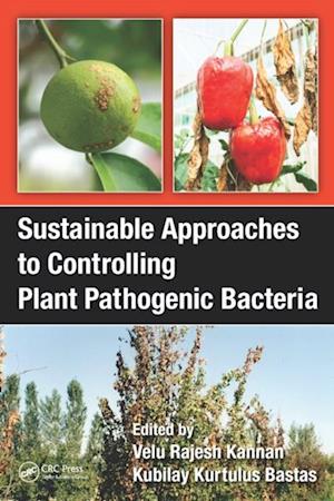 Sustainable Approaches to Controlling Plant Pathogenic Bacteria