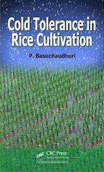 Cold Tolerance in Rice Cultivation