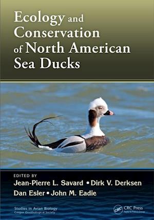 Ecology and Conservation of North American Sea Ducks