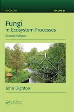 Fungi in Ecosystem Processes