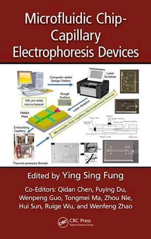 Microfluidic Chip-Capillary Electrophoresis Devices