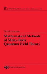 Mathematical Methods of Many-Body Quantum Field Theory