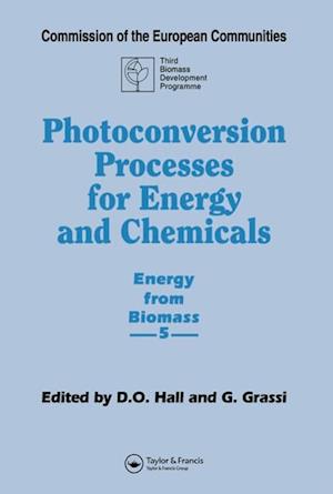 Photoconversion Processes for Energy and Chemicals