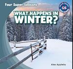 What Happens in Winter?