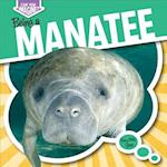Being a Manatee
