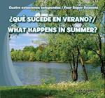 Que Sucede En Verano?/What Happens in Summer?