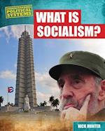 What Is Socialism?