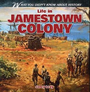 Life in Jamestown Colony
