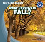 What Happens in Fall?