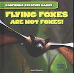 Flying Foxes Are Not Foxes!
