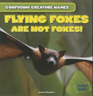 Flying Foxes Are Not Foxes!