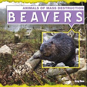 Beavers