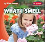 What I Smell