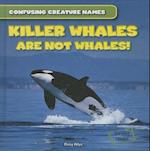 Killer Whales Are Not Whales!