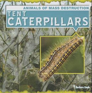 Tent Caterpillars