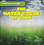 The Water Cycle at Work