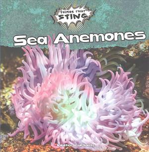 Sea Anemones