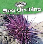 Sea Urchins