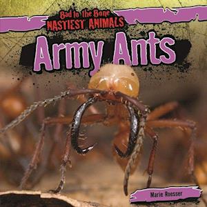 Army Ants